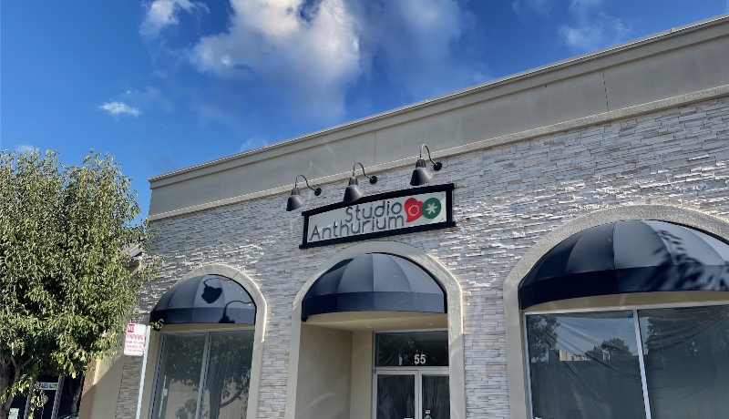 Studio Anthurium (English-Russian speaking classes for bilingual kids and adults, Decor, Event Venue and planning) - Event Venue in San Mateo, California