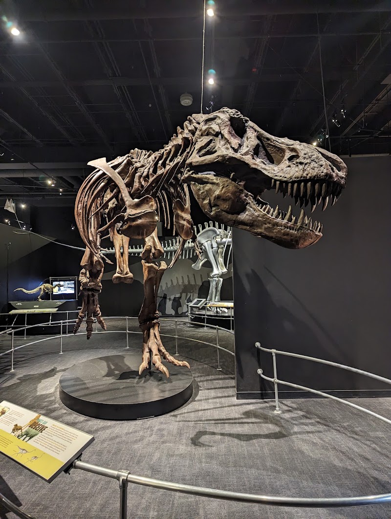 American Museum of Natural History Dinosaur Gallery - Event Venue in Columbus, Ohio