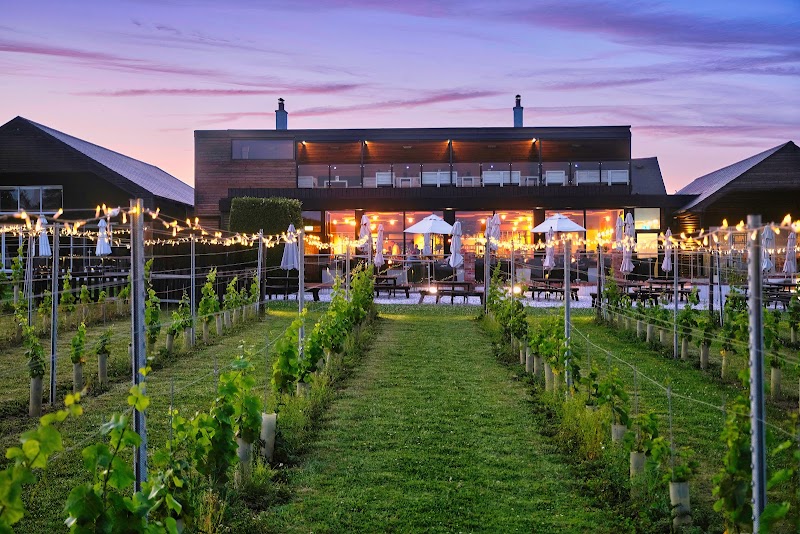 Llanerch Vineyard Hotel - Event Venue in Hensol, Vale of Glamorgan