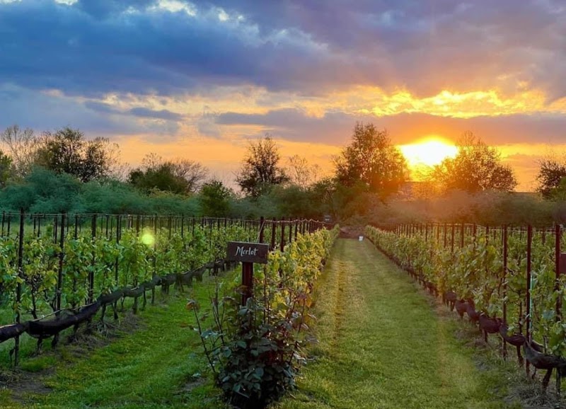 Three Oaks Vineyard & Winery - Event Venue in Clovis, California