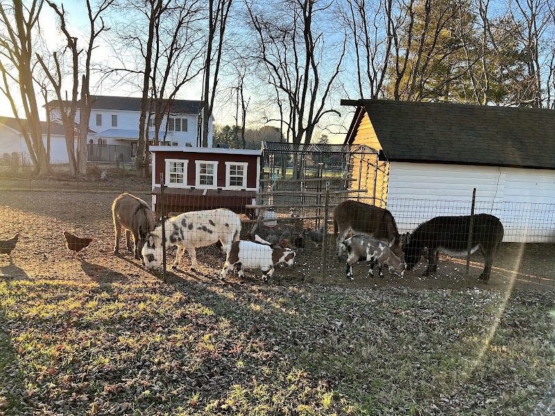 Breezy Hill Farms TN - Event Venue in Spring Hill, Tennessee