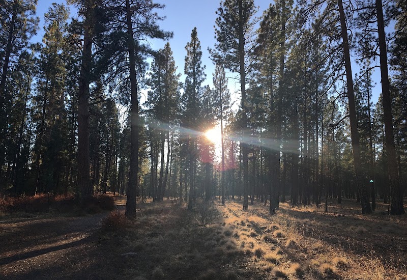 Shevlin Park - Event Venue in Bend, Oregon