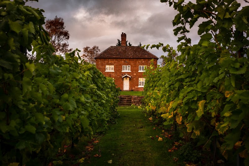 Blabers Hall Wine Estate - Event Venue in Fillongley, Warwickshire