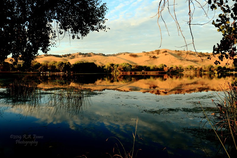 Contra Loma Regional Park - Event Venue in Antioch, California