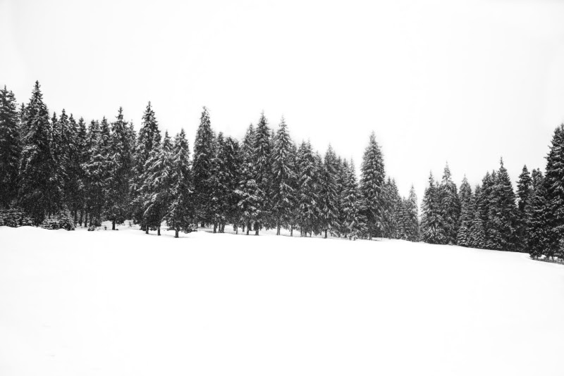 Whispering Pine Cabins - Event Venue in Ruidoso, New Mexico