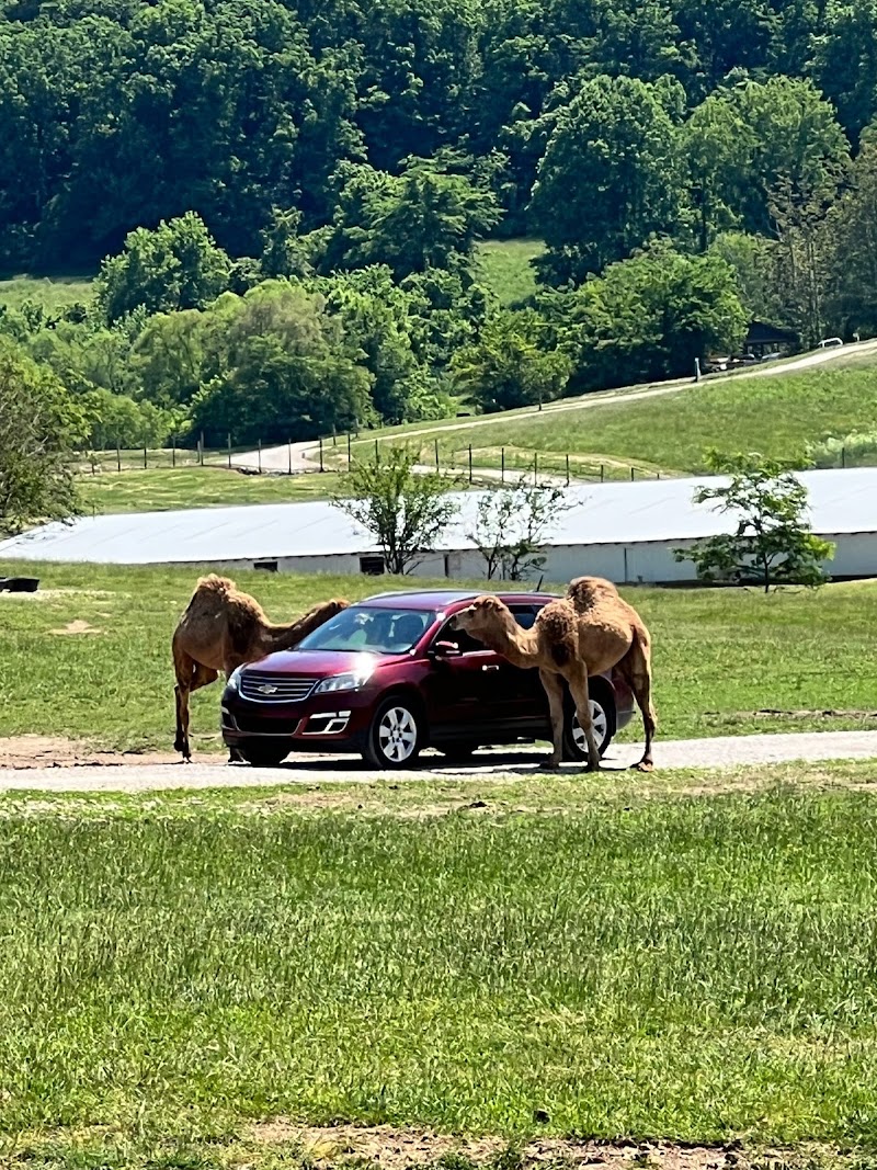 Wilstem Wildlife Park - Event Venue in Paoli, Indiana