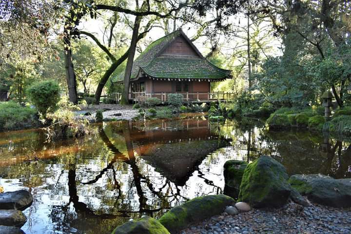 Japanese Garden in Micke Grove Park - Event Venue in Lodi, California