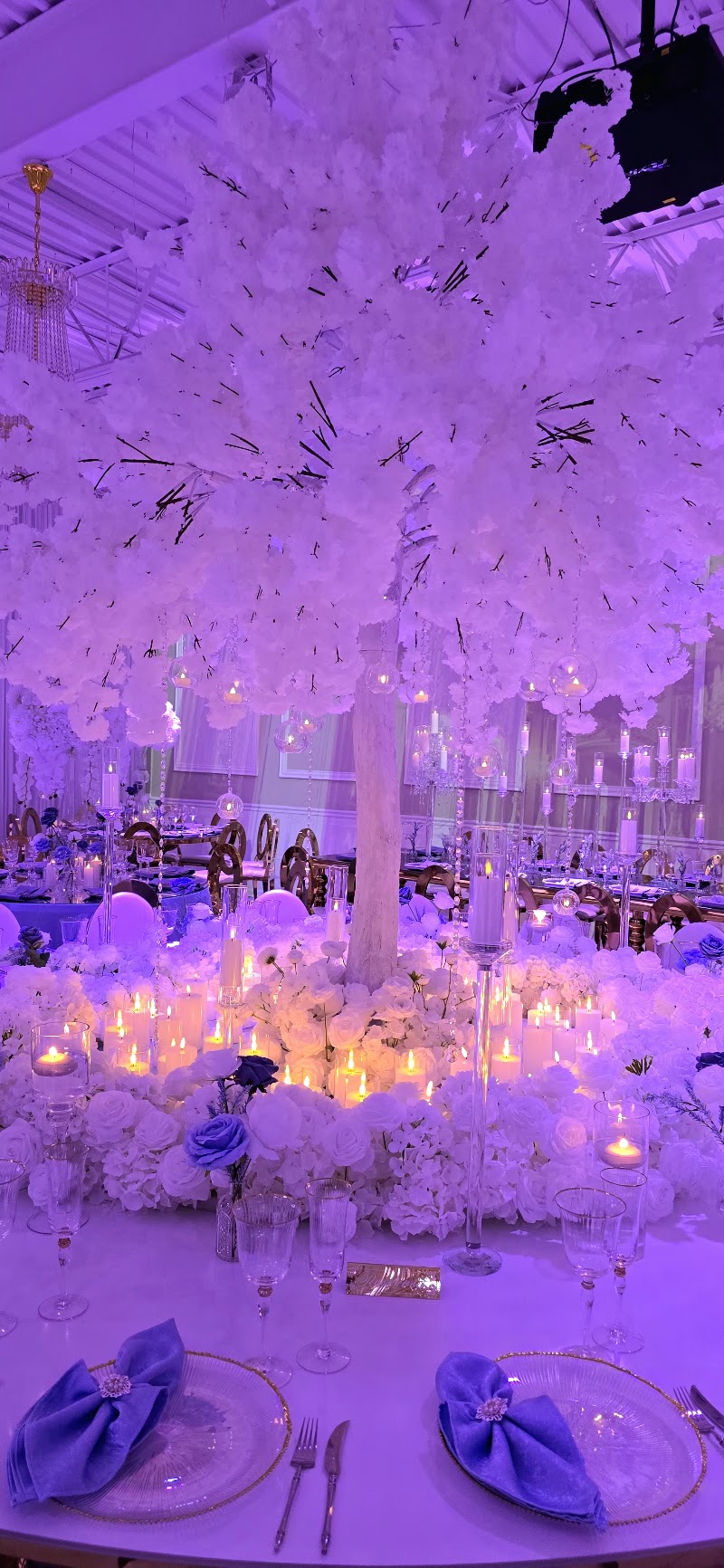 Simba Event Hall - Event Venue in Matthews, North Carolina