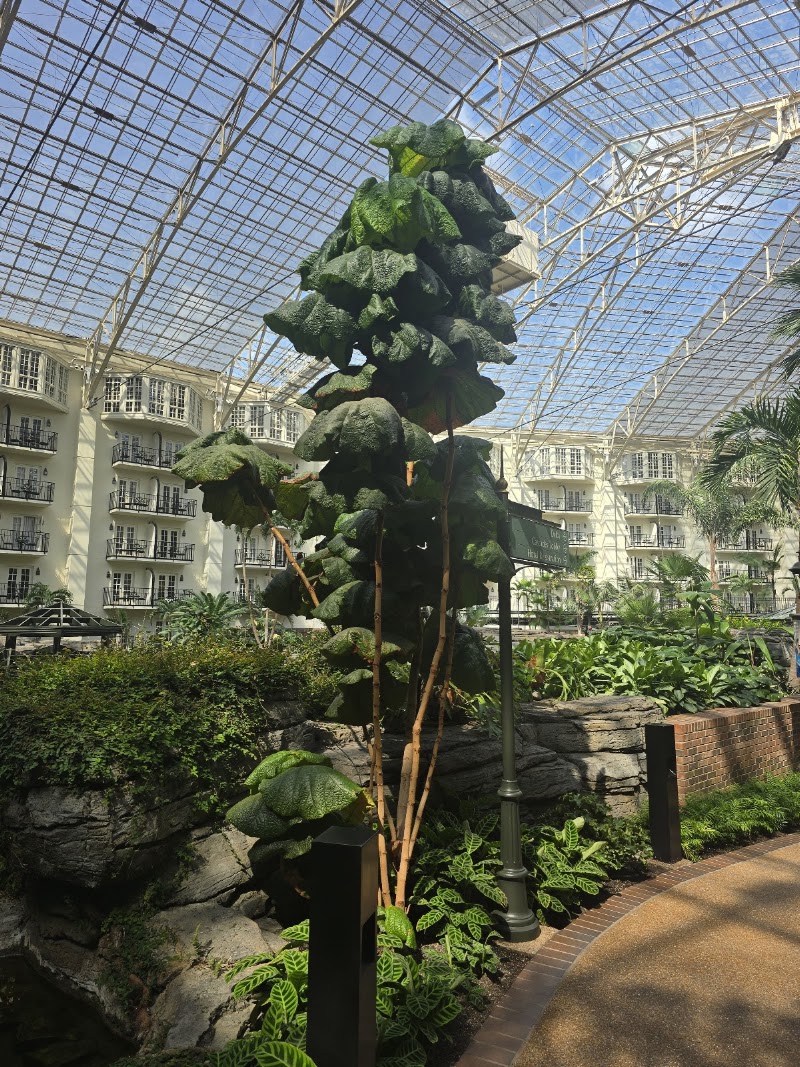 Opryland Convention Center- Expo Hall Entrance - Event Venue in Nashville, Tennessee