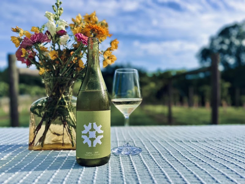 Doghobble Wine Farm - Event Venue in Dahlonega, Georgia