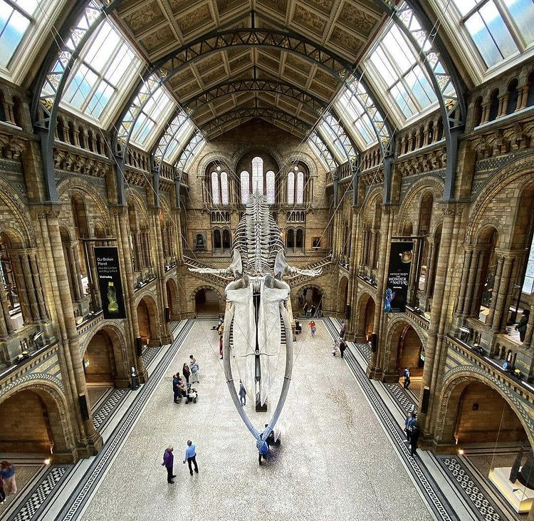 Natural History Museum - Event Venue in England