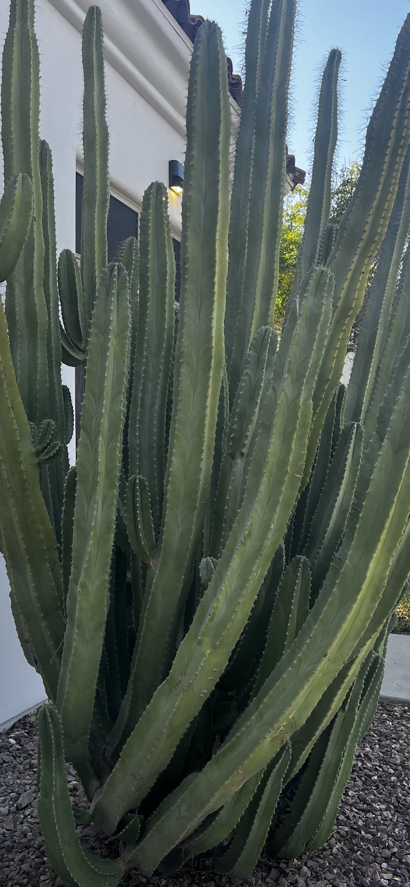 The Fields Of Surprise - Event Venue in Surprise, Arizona
