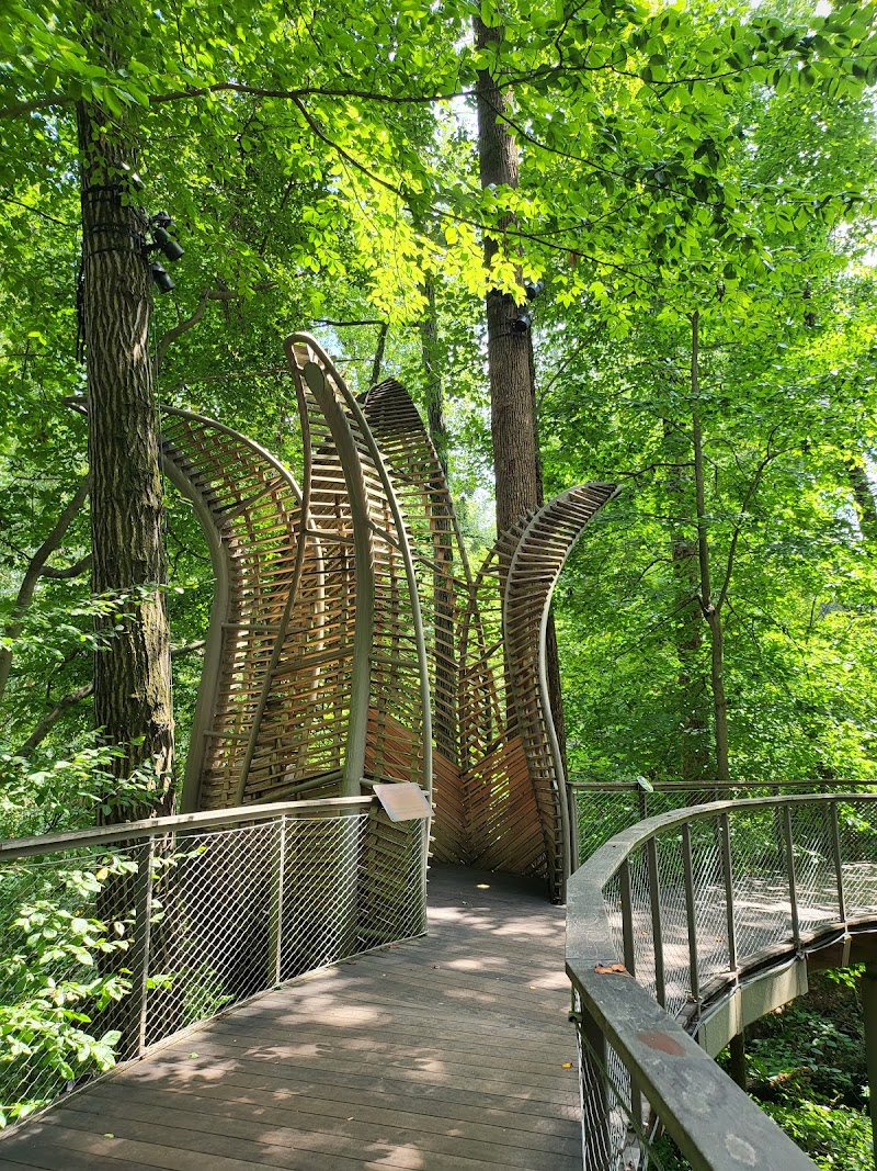 Fernbank Museum | 3D Theater | Forest - Event Venue in Atlanta, Georgia