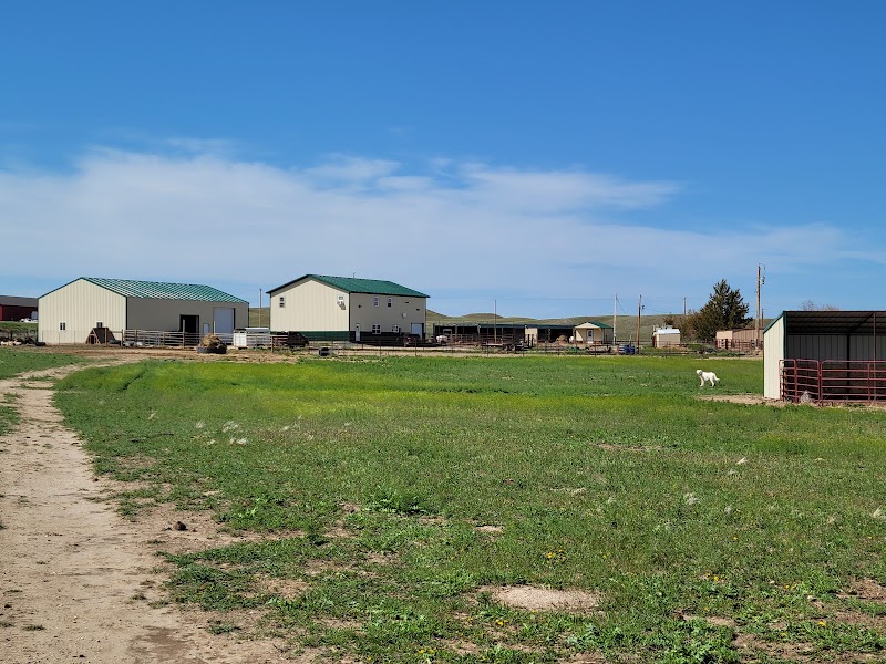 Daydreamers Guest Ranch - Event Venue in Lingle, Wyoming