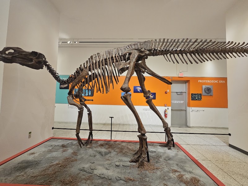 New Jersey State Museum Planetarium - Event Venue in Trenton, New Jersey