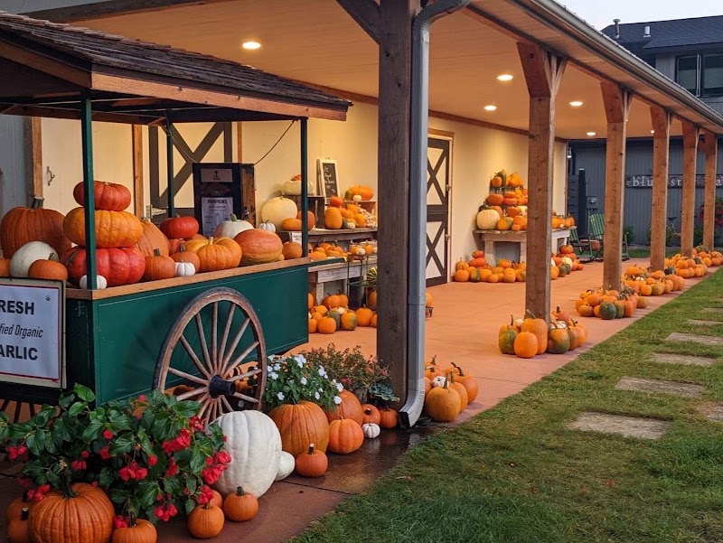 Blue Star Barns - COFFEE & BIKES - Event Venue in Saugatuck, Michigan