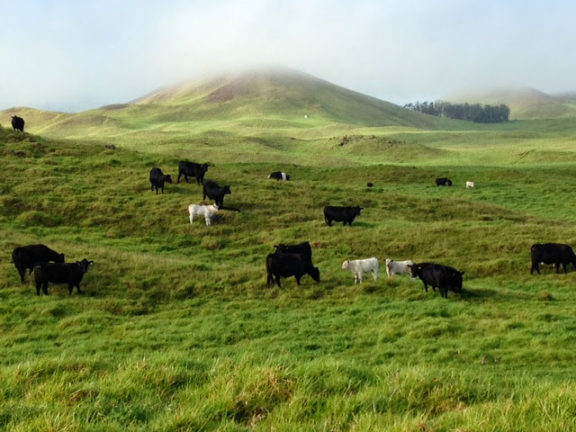Parker Ranch Headquarters - Event Venue in Waimea, Hawaii