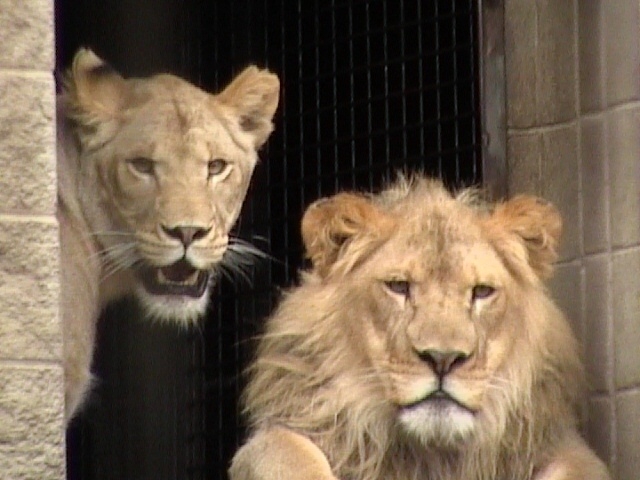 Racine Zoo - Event Venue in Racine, Wisconsin