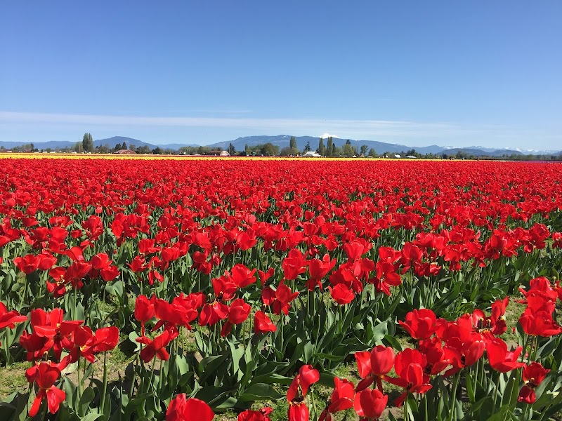 Whispering Firs Bed & Breakfast Lodge - Event Venue in Mount Vernon, Washington