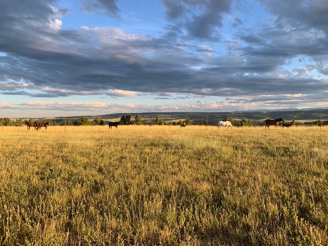 Hensley Creek Hangar - Event Venue in Columbus, Montana