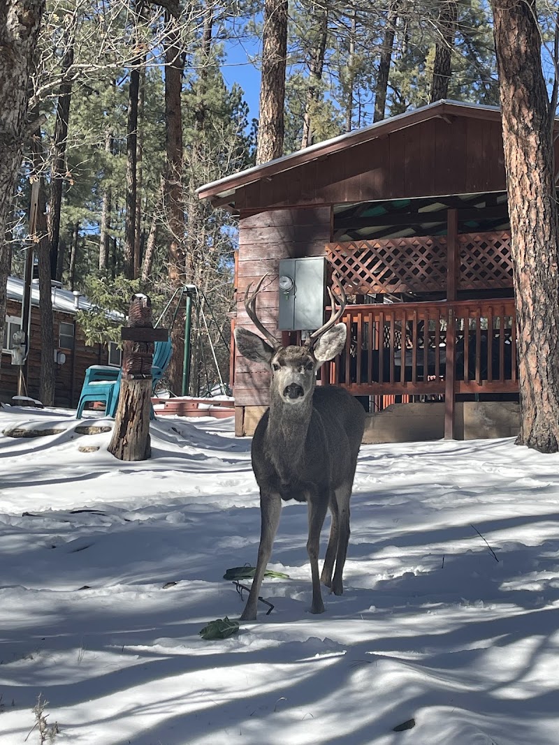 Dan Dee Cabins - Event Venue in Ruidoso, New Mexico