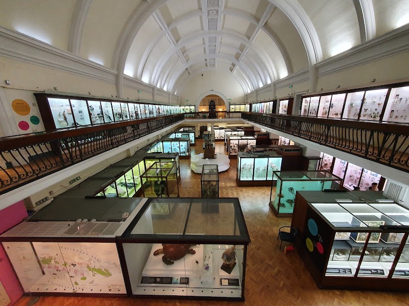 Horniman Museum and Gardens - Event Venue in London, Greater London