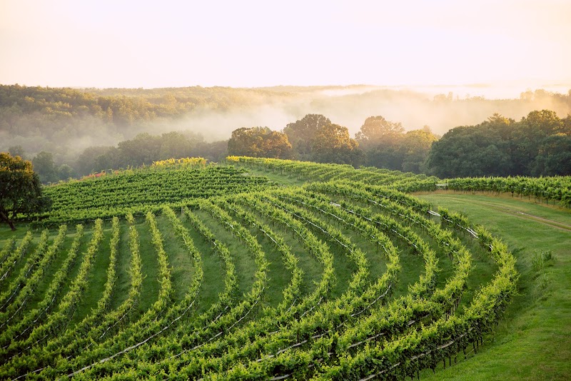 Montaluce Winery & Restaurant - Event Venue in Dahlonega, Georgia