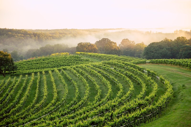 Montaluce Winery & Restaurant - Event Venue in Dahlonega, Georgia