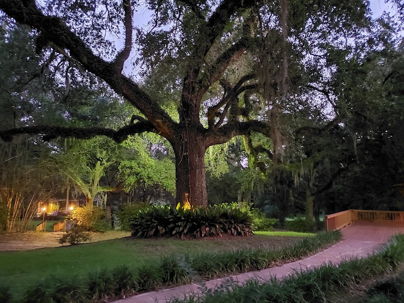 Desert Plantation - Event Venue in Woodville, Mississippi