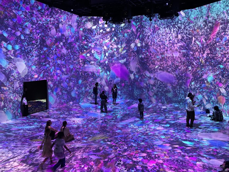 ARTECHOUSE DC - Event Venue in Washington, District of Columbia