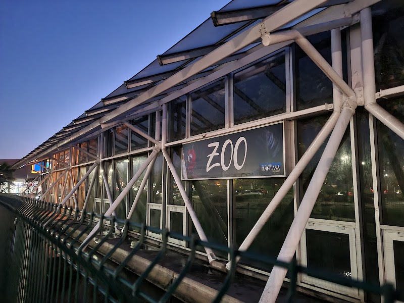 Plantasia - Event Venue in Swansea, Wales