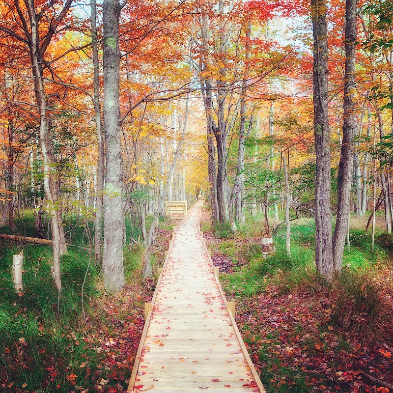 Wild Gardens of Acadia - Event Venue in Bar Harbor, Maine