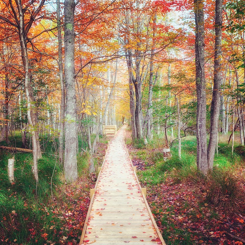 Wild Gardens of Acadia - Event Venue in Bar Harbor, Maine