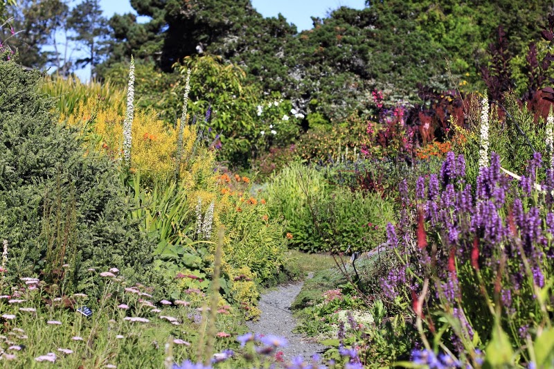 Mendocino Coast Botanical Gardens - Event Venue in Fort Bragg, California