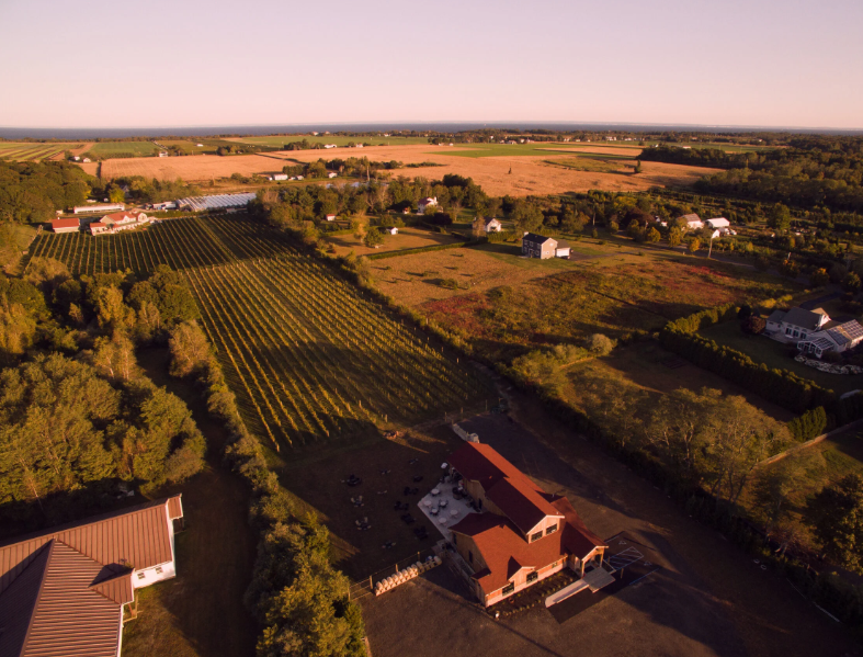 Sannino Vineyard - Event Venue in Cutchogue, New York