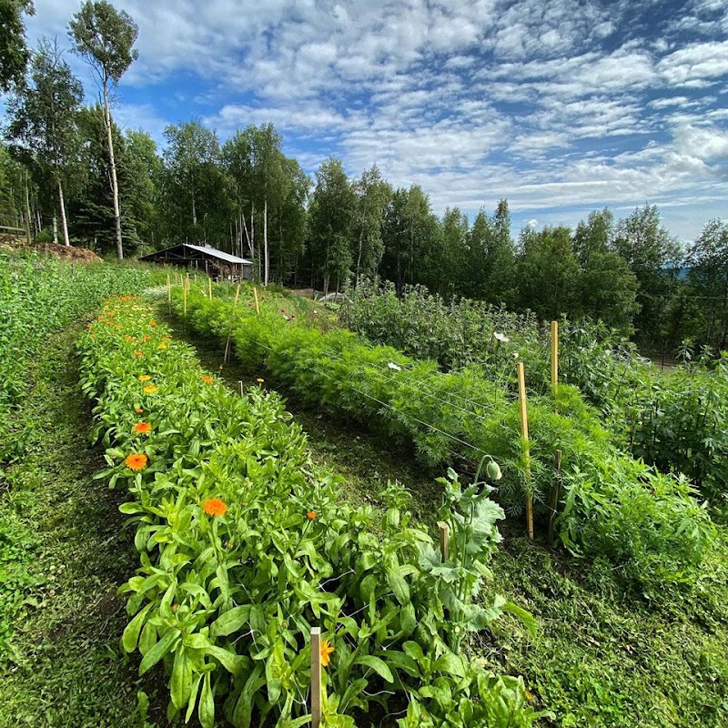 Calypso Farm and Ecology Center - Event Venue in Fairbanks, Alaska