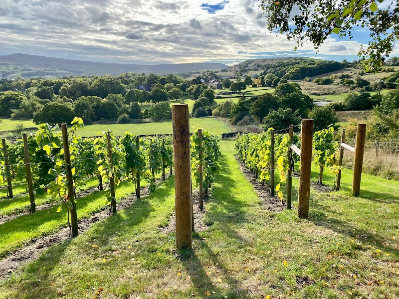 Helme Edge Vineyard - Event Venue in Meltham, West Yorkshire