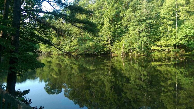 Johnston Woods - Event Venue in McDonald, Tennessee