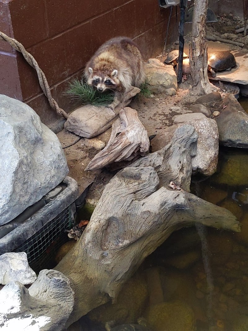 Sterling Heights Nature Center - Event Venue in Sterling Heights, Michigan