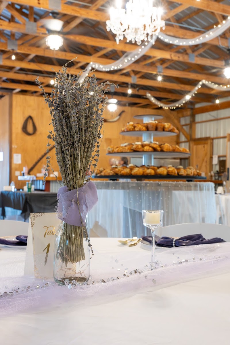 Sackett Ranch - Event Venue in Lakeland, Florida