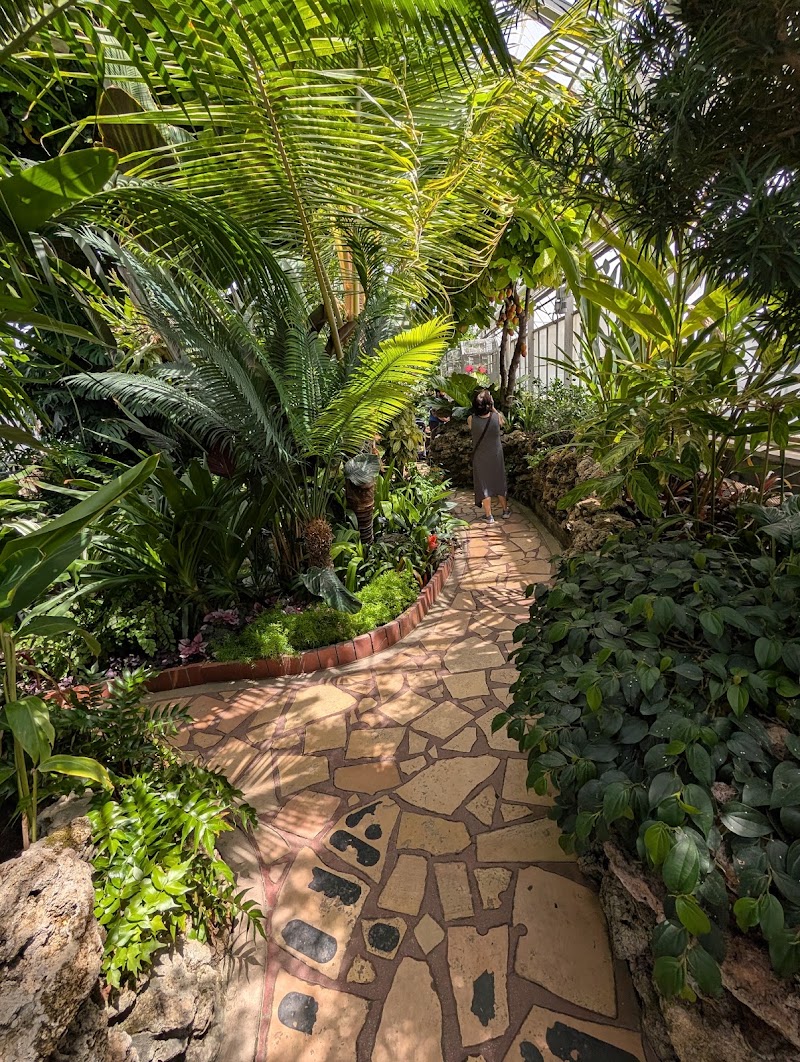 Oak Park Conservatory - Event Venue in Oak Park, Illinois