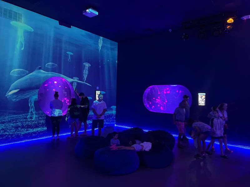 Jellyfish Museum - Event Venue in Pompano Beach, Florida