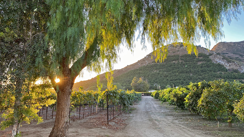 Rancho Guejito Vineyard - Event Venue in Escondido, California