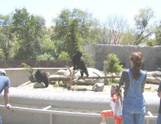 California Living Museum (CALM) - Event Venue in Bakersfield, California