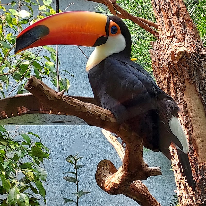 National Aviary - Event Venue in Pittsburgh, Pennsylvania