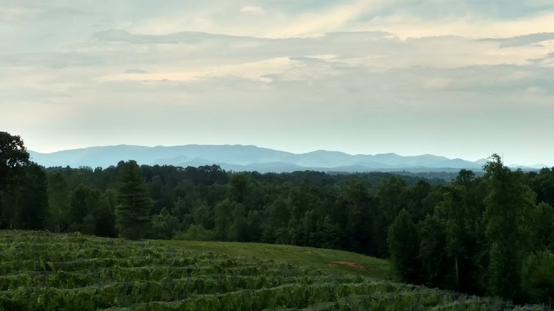 Venue in the Vines at Engelheim Vineyards - Event Venue in Ellijay, Georgia
