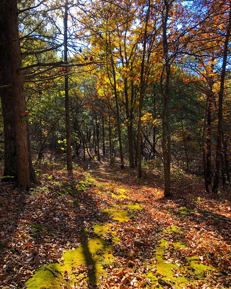 St Francis of the Woods - Event Venue in Coyle, Oklahoma