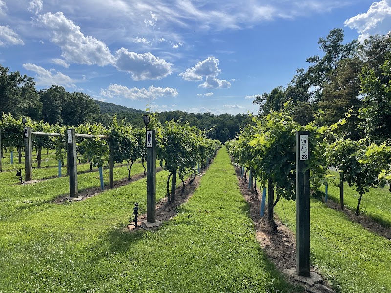 Fables & Feathers Winery - Event Venue in Goodview, Virginia