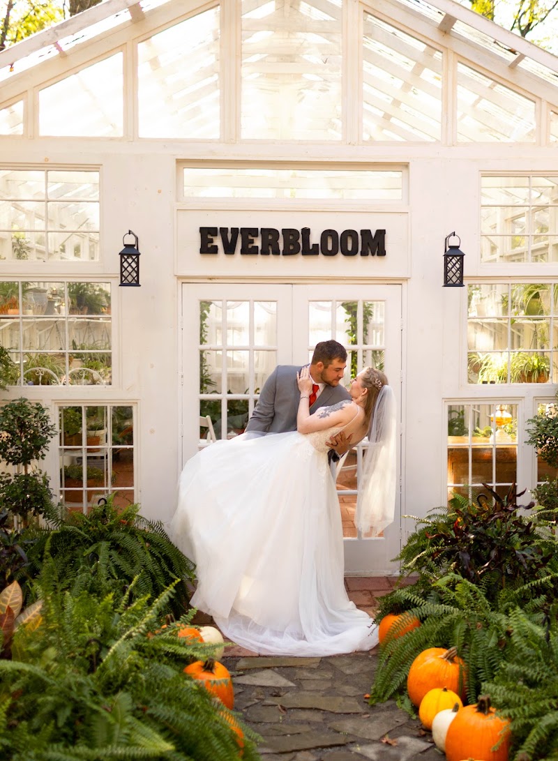 Everbloom Greenhouse - Event Venue in Hot Springs, Arkansas