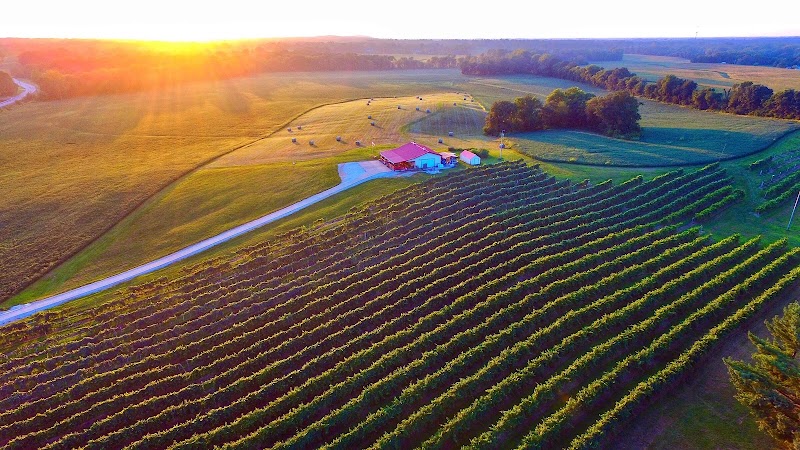 Boucherie Vineyards & Winery, LLC - Event Venue in Spottsville, Kentucky